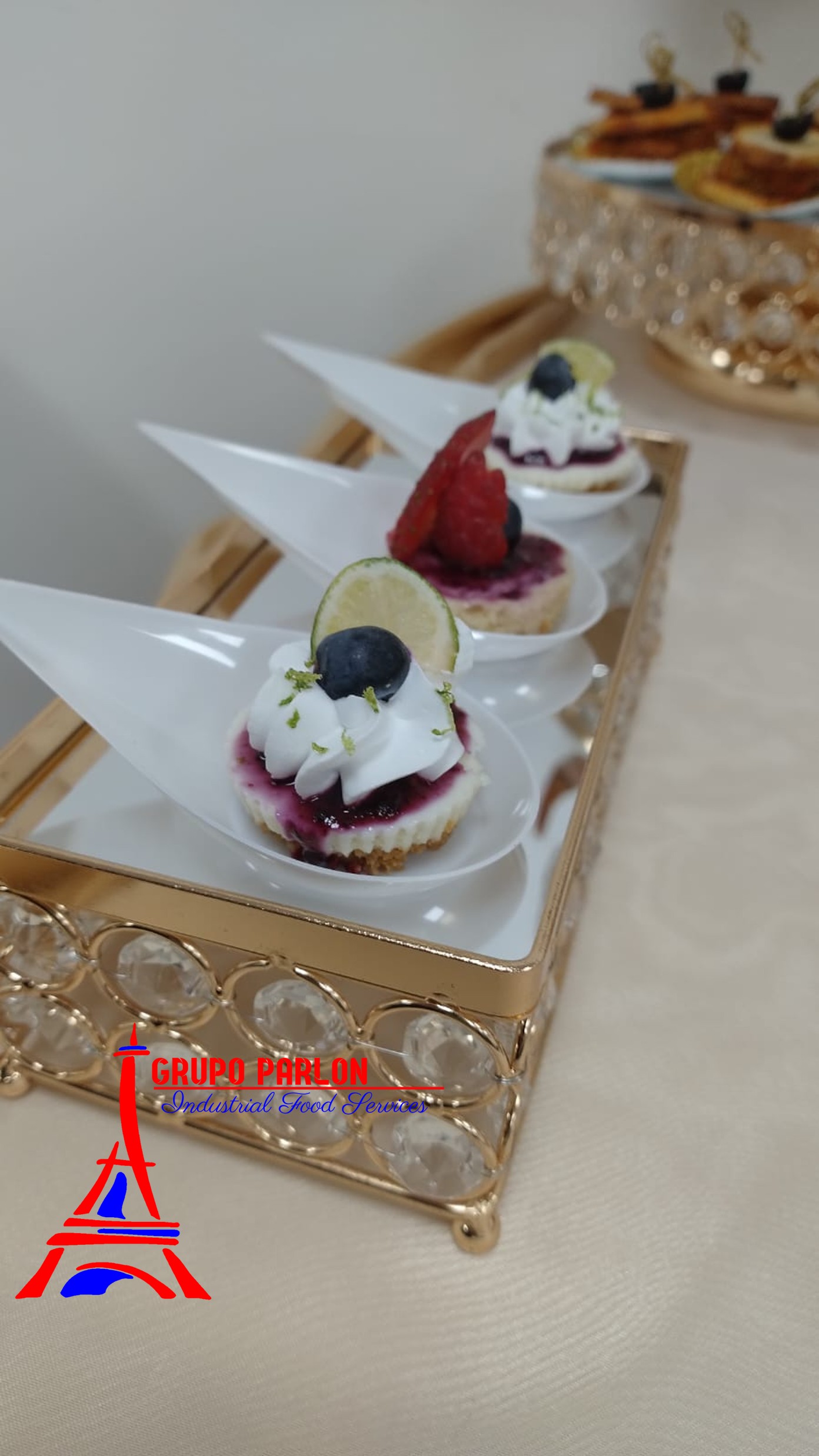 Grupo Parlon Industrial Food Services